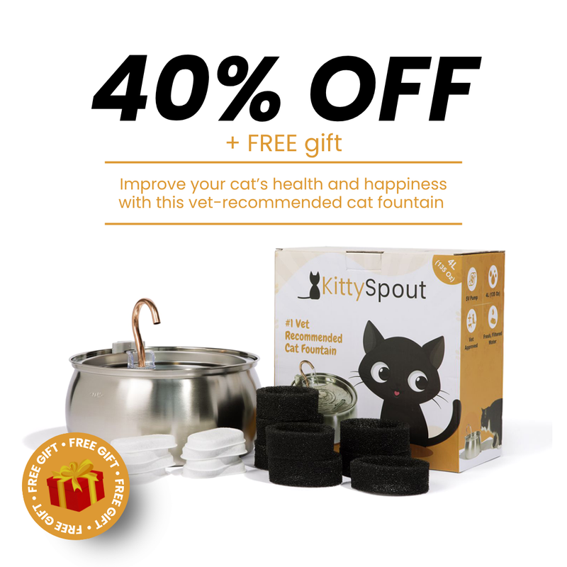 The KittySpout™ - Health & Happiness Cat Kit