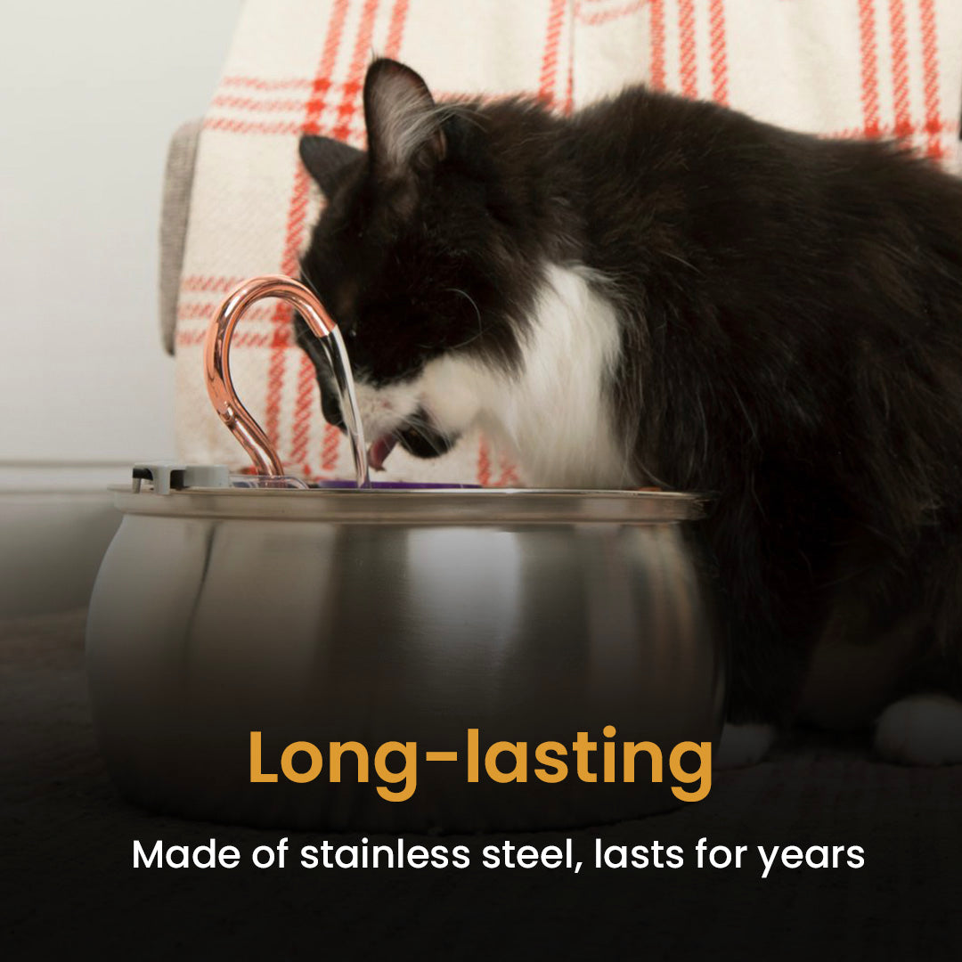 24x Filter Sets + 12x FREE