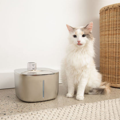 The KittySpout™ - Wireless Fountain