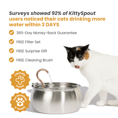 The KittySpout™ - Health & Happiness Cat Kit