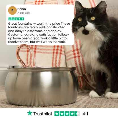 The KittySpout™ - Health & Happiness Cat Kit