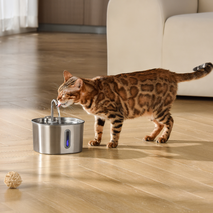 The KittySpout™ - 2.2L Fountain 2–month Kit