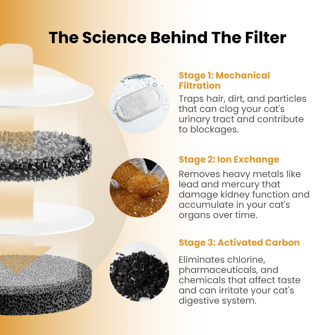 The KittySpout™ - Health & Happiness Cat Kit