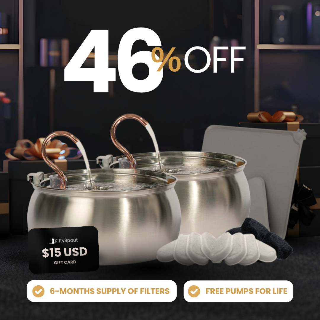 Big Cat Family Bundle