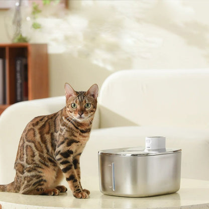 Wireless KittySpout Replacement Filters