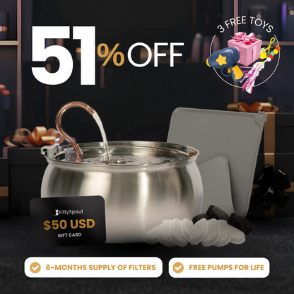 KittySpout Value Bundle