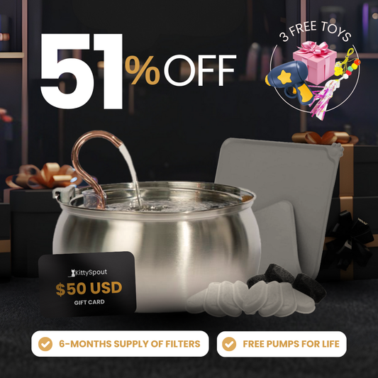 KittySpout Value Bundle