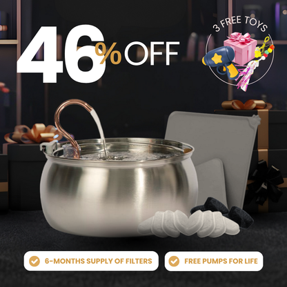 The Purrr-fect KittySpout Kit