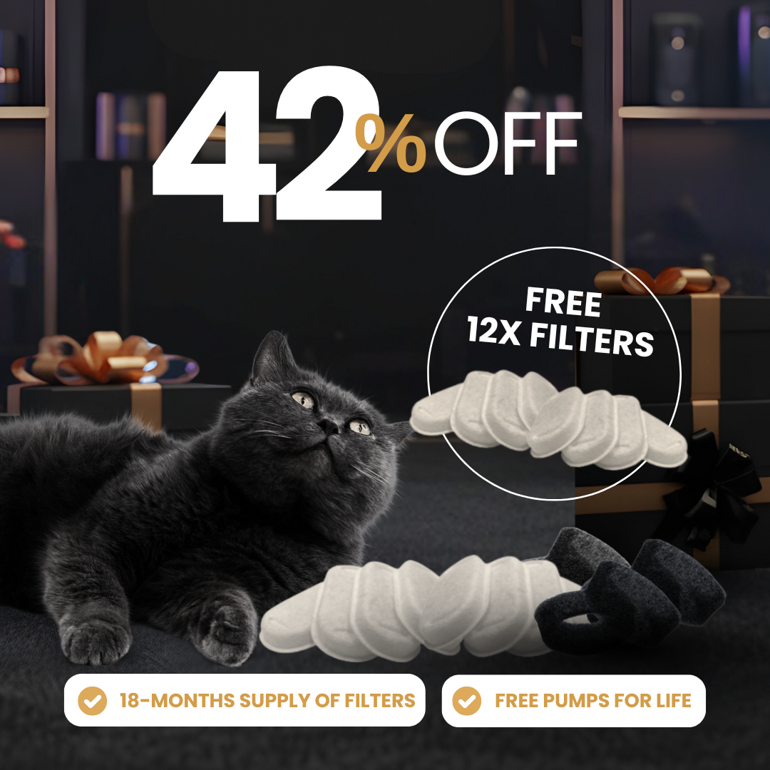 24x Filter Sets + 12x FREE