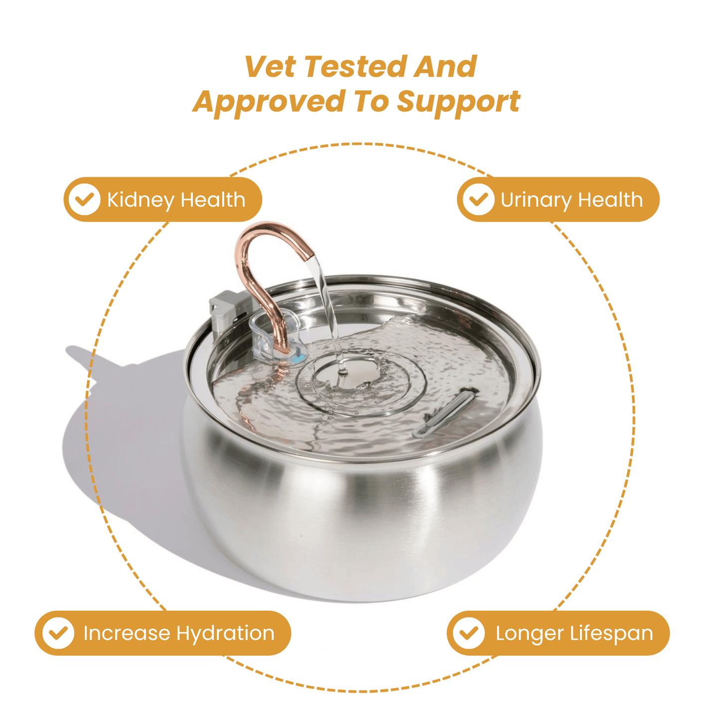 The KittySpout™ - Health & Happiness Cat Kit