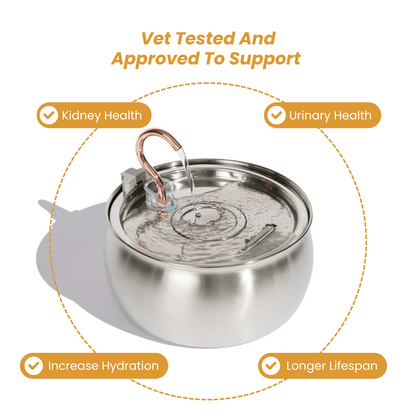 The KittySpout™ - Health & Happiness Cat Kit