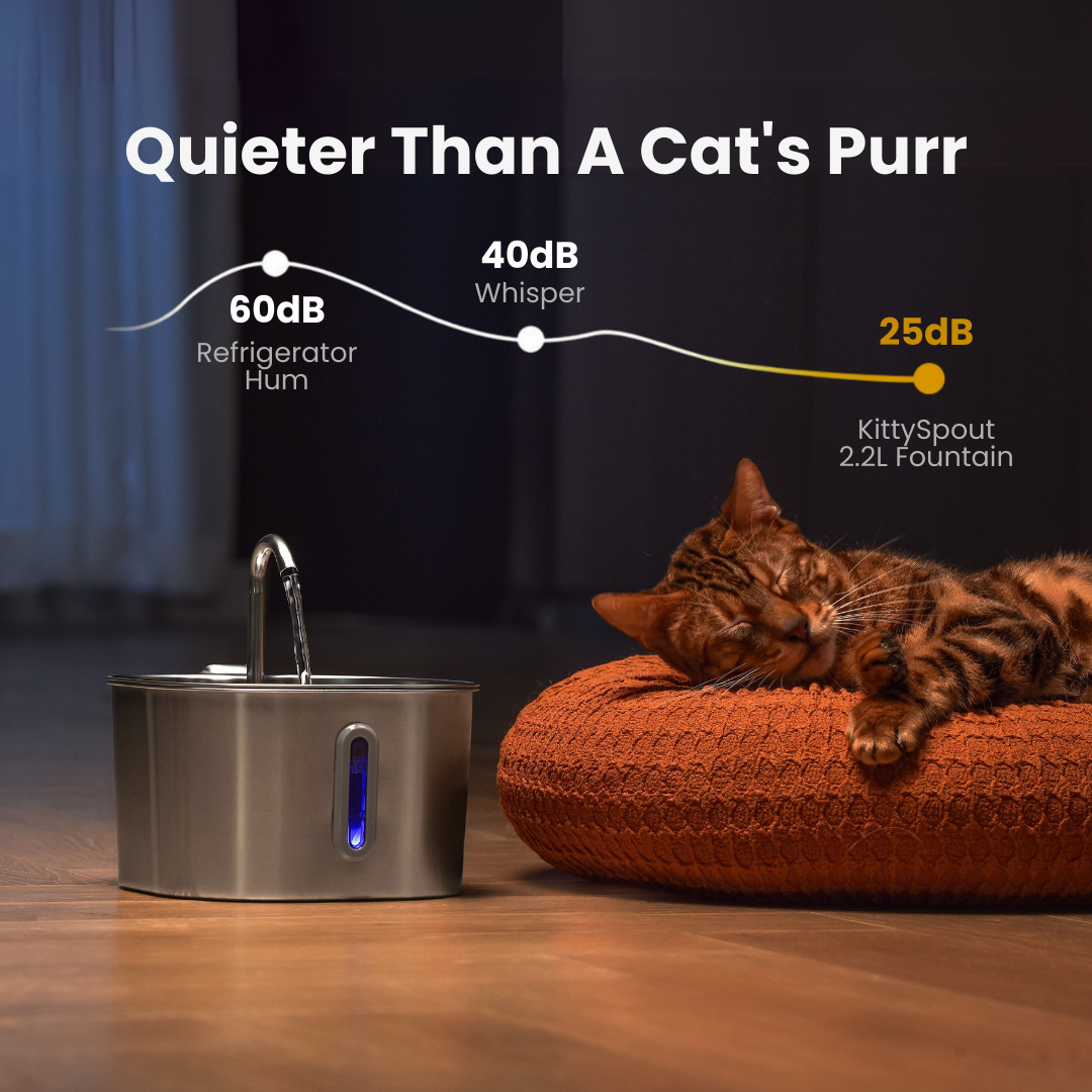 The KittySpout™ - 2.2L Fountain 2–month Kit