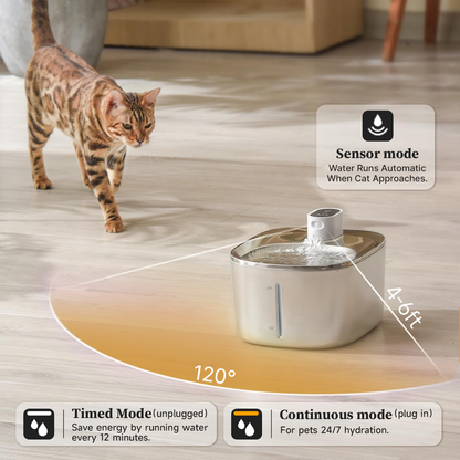 The KittySpout™ - Wireless Fountain
